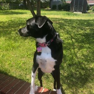 Meet your Posher, Kween